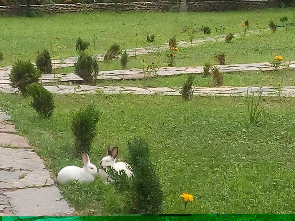 Holiday Park Ranchoto Otel Kızılağaç Dış mekan fotoğraf