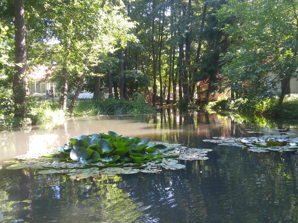 Holiday Park Ranchoto Otel Kızılağaç Dış mekan fotoğraf